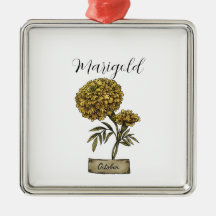 Birth Flower OCTOBER Birthday Marigold