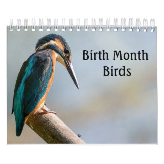 bald eagle calendars bald eagle calendar bald eagle calendars bald eagle calendar