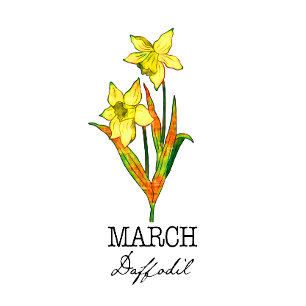 Birth Month Flower March Daffodil Throw Pillow