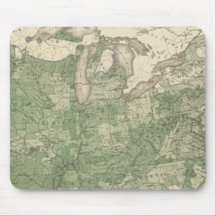 Birth Rate US, Statistical US Lithograph Mouse Pad