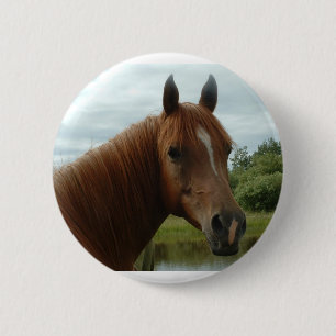 Birthday 012 2 inch round button