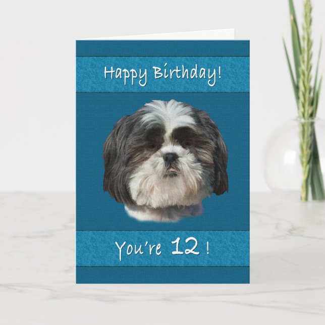 Birthday, 12th, Shih Tzu Dog Card (Front)