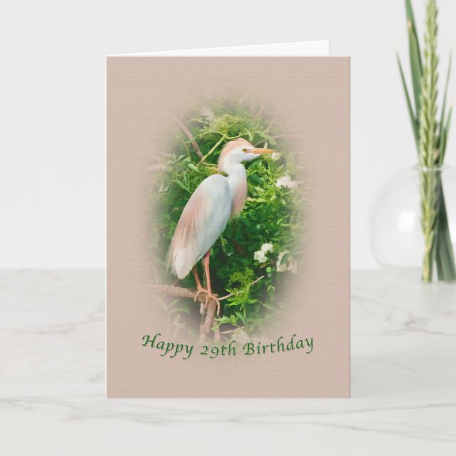 Birthday,  29th, Cattle Egret Bird Perched in Tree Card (Front)