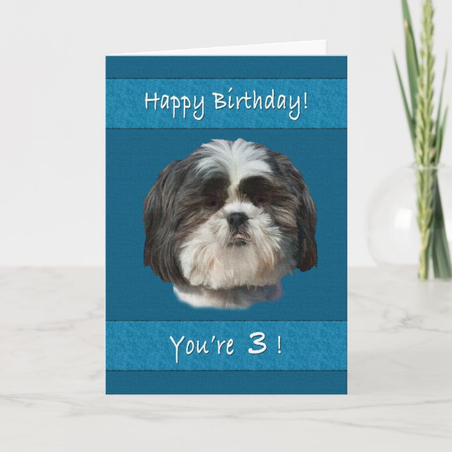 Birthday, 3rd, Shih Tzu Dog Card (Front)