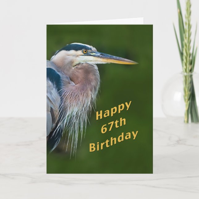 Birthday, 67th, Great Blue Heron Bird Note Card (Front)