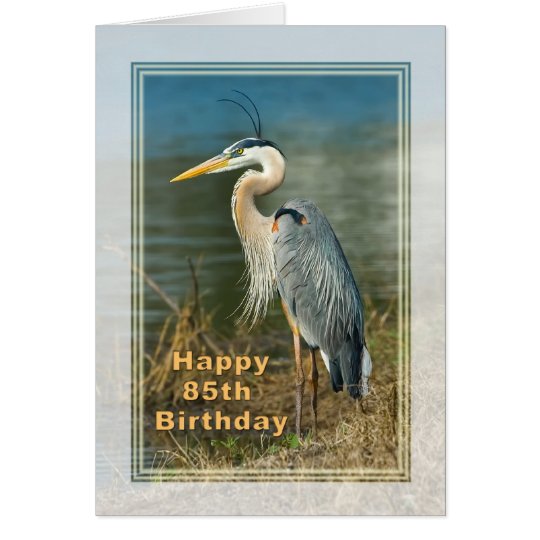Birthday, 85th, Great Blue Heron Bird Card