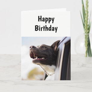 Birthday A day Like No Other Humor Dog Card