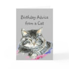Birthday Advice from a Cat Fun Animal Humor