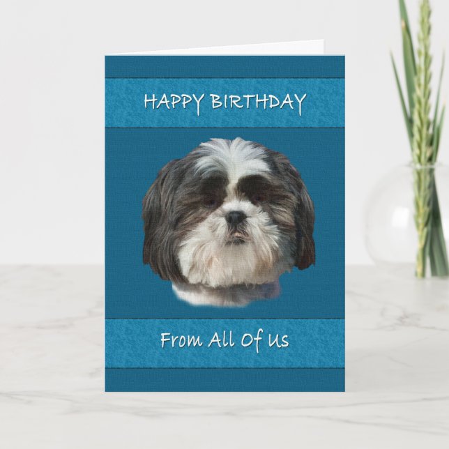 Birthday,  All of Us , Shih Tzu Dog Card (Front)