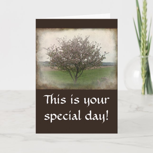 Birthday Apple Tree in Bloom Card (Front)