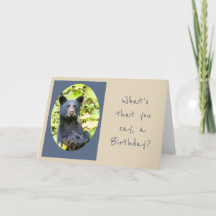 Birthday Bear Eat the Cake First Animal Humour Card