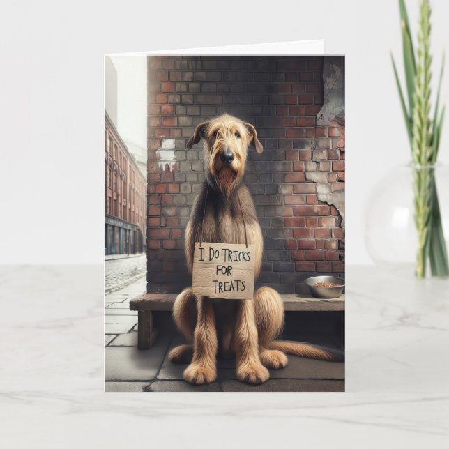 Birthday Begging Dog With Cardboard Sign Card (Front)