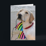 Birthday Bikini and Labrador Retriever Card<br><div class="desc">Labrador retriever on the beach with a colourful striped bikini top in his mouth for humourous birthday.</div>