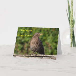 Birthday bird card