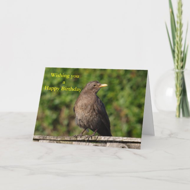 Birthday bird card (Front)