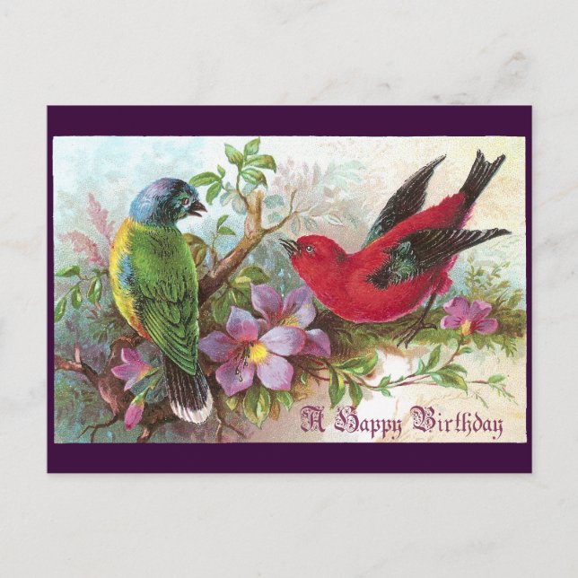 Birthday Birds 1800s Postcard (Front)