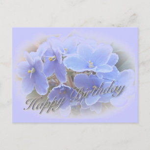 Birthday Blue African Violets Postcard