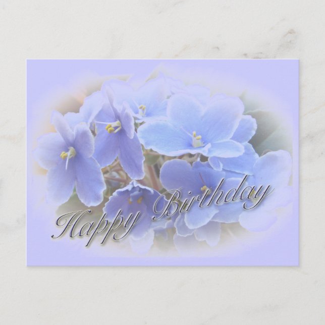 Birthday Blue African Violets Postcard (Front)
