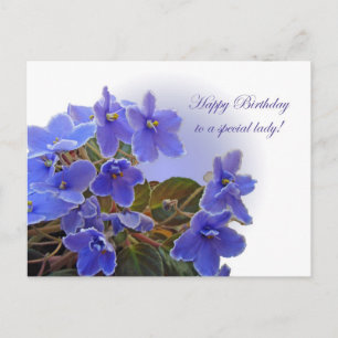 Birthday Blue African Violets Postcard