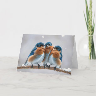 Birthday Bluebirds On a Winter Branch Card