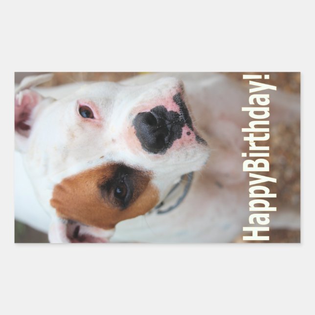 Birthday Boop Sticker (Front)