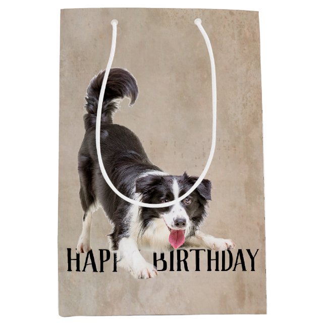 Birthday Border Collie  Medium Gift Bag (Front)