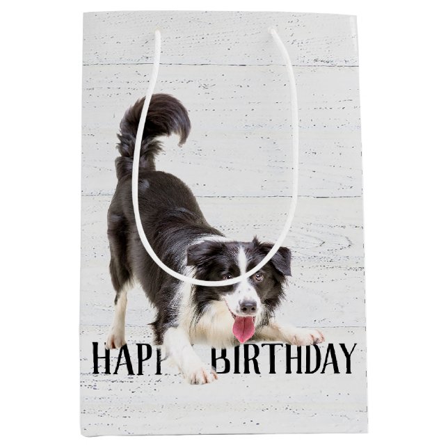 Birthday Border Collie on Wood Medium Gift Bag (Front)
