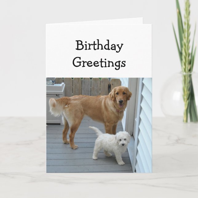 Birthday Both of Us Golden Retriever Card (Front)