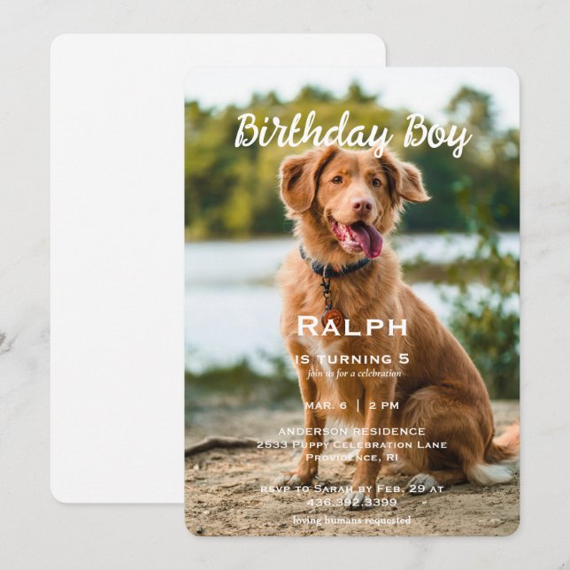 Birthday Boy Pet Photo Birthday Party Invitation (Front/Back)