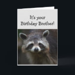 Birthday BROTHER Fun Age Humour Sad Raccoon Humour Card<br><div class="desc">Birthday Blahs for your BROTHER Fun Age You're trash to me  Humourous depressed Raccoon Animal art</div>