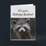 Birthday BROTHER Fun Age Humour Sad Raccoon Humour Card<br><div class="desc">Birthday Blahs for your BROTHER Fun Age You're trash to me  Humourous depressed Raccoon Animal art</div>