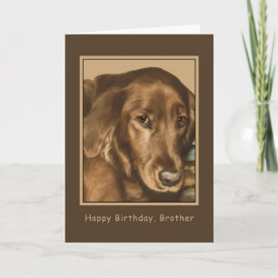 Birthday, Brother, Golden Irish Dog Card
