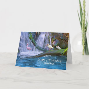 Birthday, Brother, Tropical Waterfall, Birds Card
