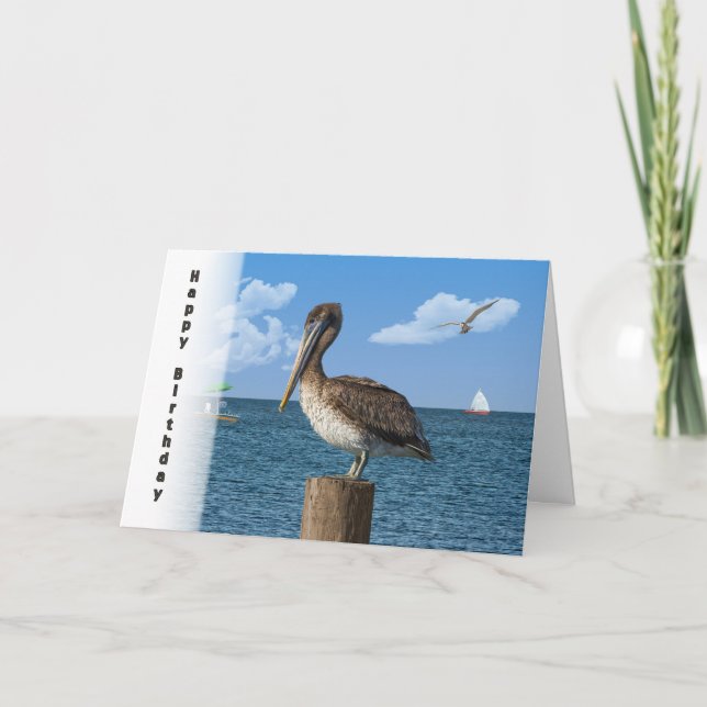 Birthday, Brown Pelican with Seascape Card (Front)