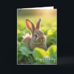 Birthday Bunny In a Lettuce Garden Card<br><div class="desc">A small rabbit sits amid verdant lettuce plants,  illuminated by warm sunlight filtering through the leaves.
All text can be changed.</div>