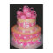 Birthday Cake 16th Postcard