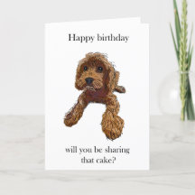 Birthday cake - featuring Rebel Rupert