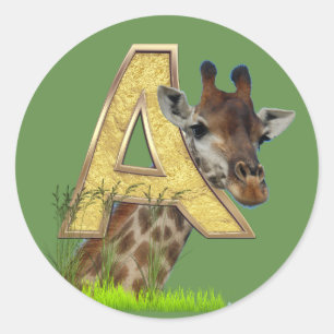 Birthday-Capital Monogram -letter A  Classic Round Sticker