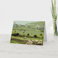 Birthday card