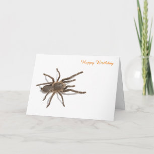 Birthday Card