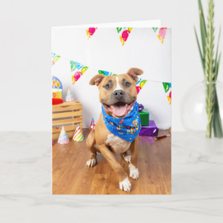 Birthday card