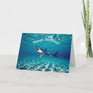 Birthday Card