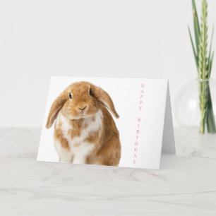 Birthday Card