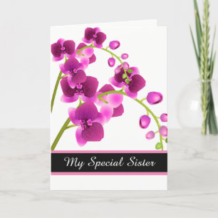 Birthday Card
