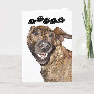 Birthday Card
