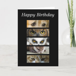 Birthday Card - Animals Eyes