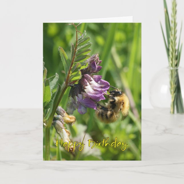 Birthday Card - Bee On A Wild Vetch (Front)