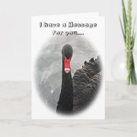 Birthday Card - Black Swan