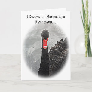 Birthday Card - Black Swan