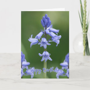 Birthday Card - Bluebells